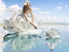 life is a reflection of what you hold in mind