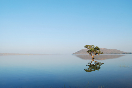 Mirror to the sky