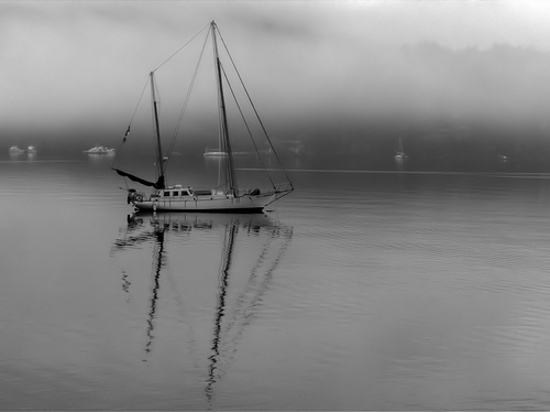 Anchored in Mist