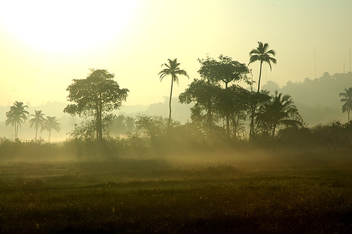 One Misty Morning In Goa