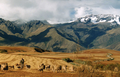 Paisagem Andina