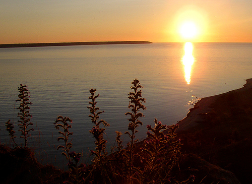 Sunset Gotland 