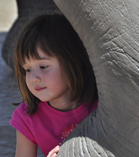 Little Girl Thinks About Elephants