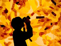 silhouette shooter