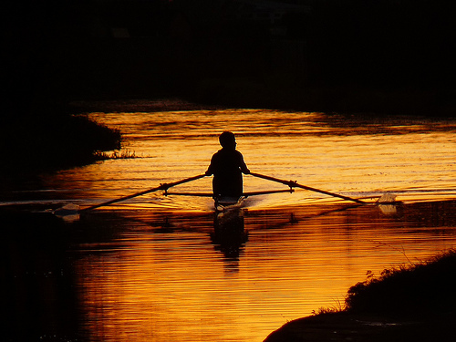 Silhouetted Sculler