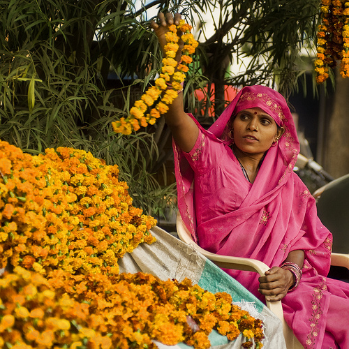 Flowers of Diwali in India