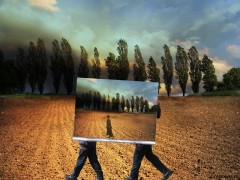 Looking For Reality