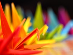 Colorful Cranes DOF