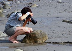 Photographer