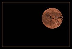 Smoke Tinged Halloween Moon