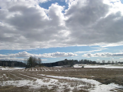 Beautiful Landscape