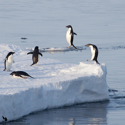 I Can Fly!!!! I Can Fly!!!!