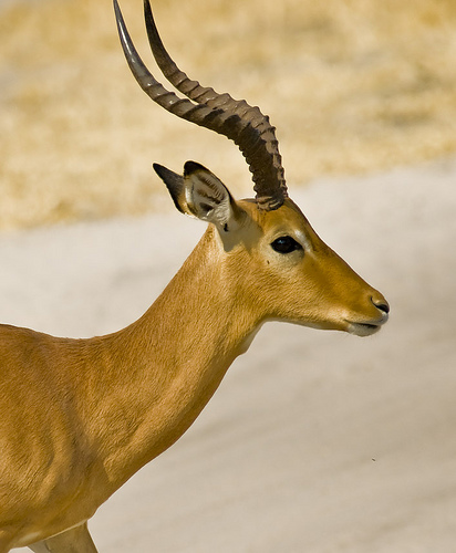 Untitled Flicker Untitled Flicker