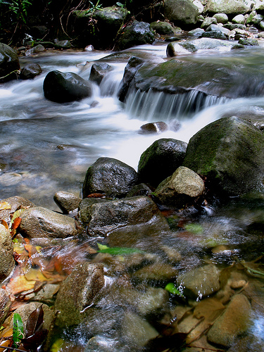Stream