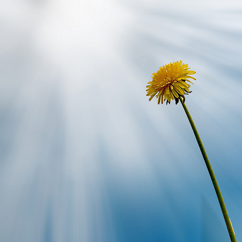 Sky Is The Limit