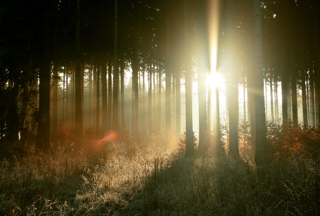 Lighting Effects 28 Impressive Examples APN Photography