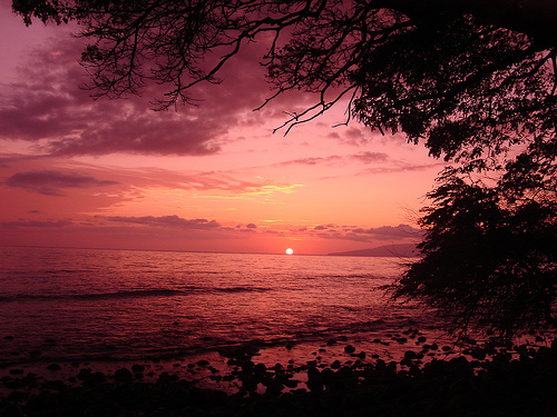 25 Exquisite Photographs Revealing The Scenic Beauty Of Hawaiin Islands ...