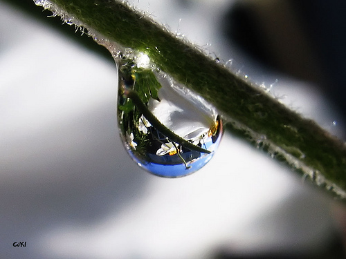 Shooting Water Droplets — 51 Stunning Examples Of Water Droplet ...