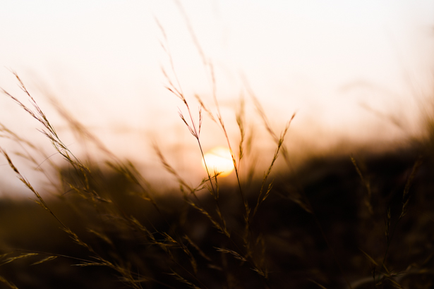 RX1 35mm 1/2000 sec, f/2, ISO 100, -3EV