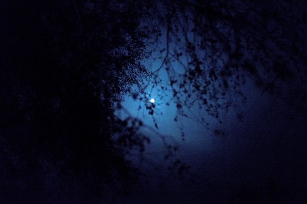 RX1 35mm 1/80 sec, f/2, ISO 25600
