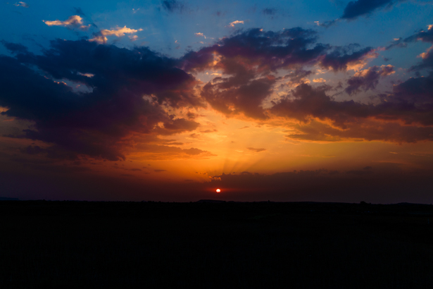 RX1 35mm 1/2000 sec, f/2, ISO 100