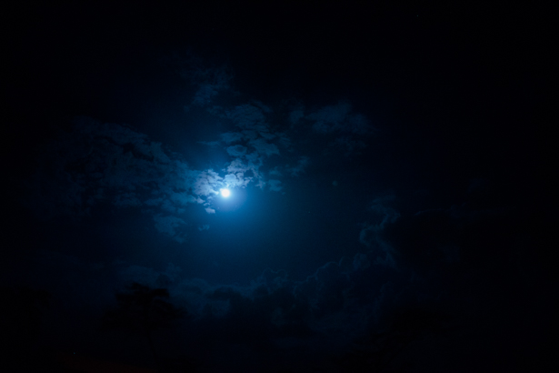 RX1 35mm 1/80 sec, f/2, ISO 8000