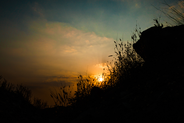 RX1 35mm 1/4000 sec, f/10, ISO 100, -1EV