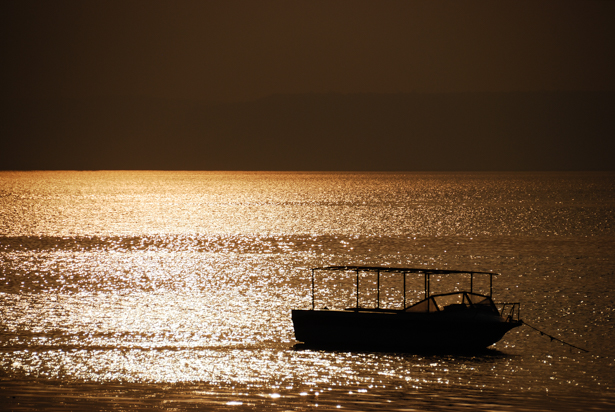 Nikon D80 18-200mm@200mm, 1/4000s, f/5.6, ISO100, -2EV